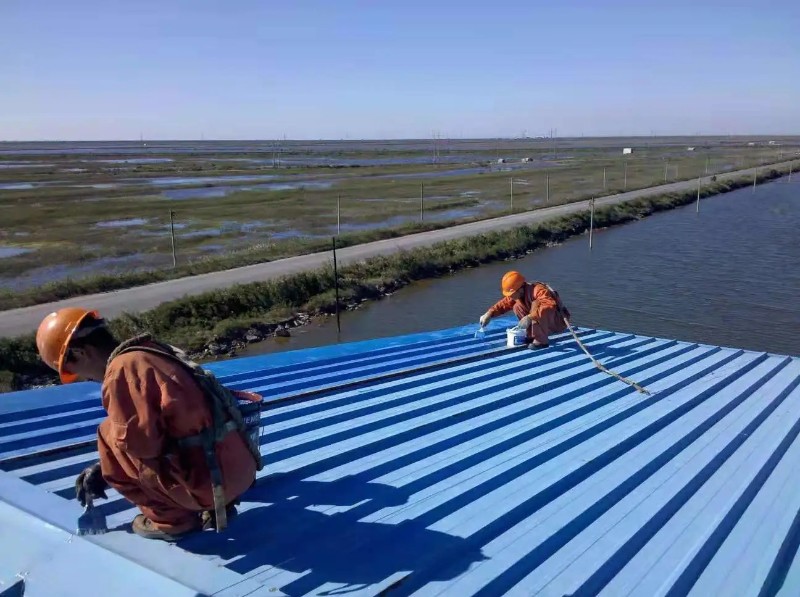 温州彩钢瓦屋面防腐翻新